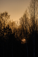 Fototapeta premium dramatatic red dark sunset over the fields and cities