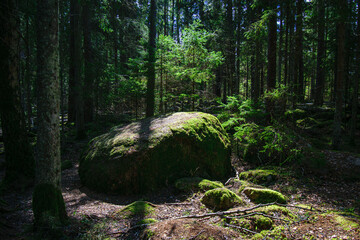 pile of rocks pebbles in green meadow
