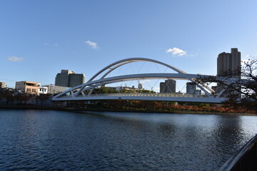 Naklejka premium city harbour bridge