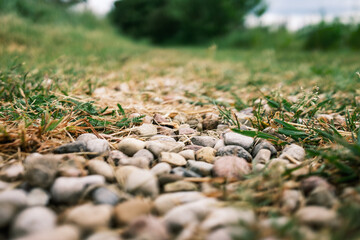 pile of rocks pebbles in green meadow