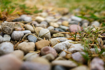 pile of rocks pebbles in green meadow