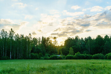 Obraz premium green summer garden scene in countryside