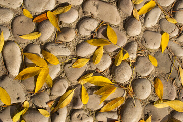 Texture in the form of autumn leaves on a pebble sidewalk.