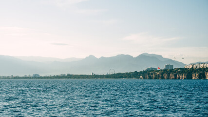 Naklejka premium birch trees of the mediterranean sea