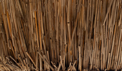 Texture in the form of a coating of dry reeds.