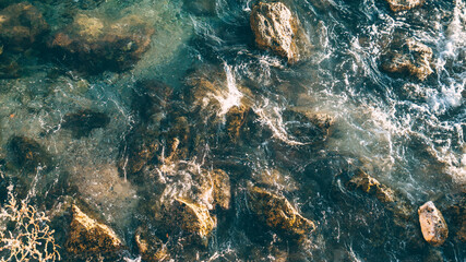 birch trees of the mediterranean sea