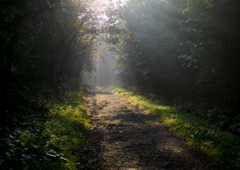 way to the trail during sunrise in the Bieszczady Mountains during autumn