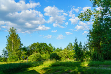 Fototapeta na wymiar green summer garden scene in countryside