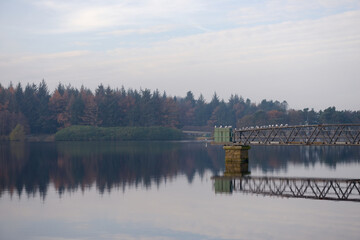 Terns and seagulls settle on a jetty over redmires reservoir in autumn
