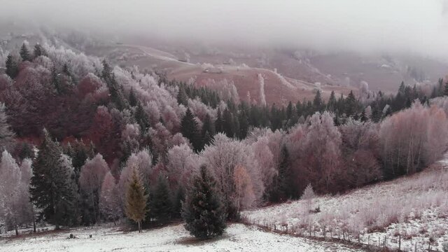 Aerial view of wintertime scene in the Transylvanian village, Pestera, with white frost, fresh snow, blizzard, and fog, at the foot of the Carpathian Mountains