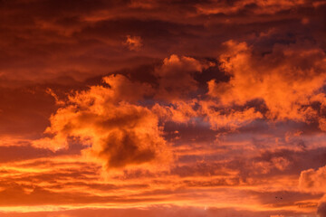 Fototapeta na wymiar dramatatic red dark sunset over the fields and cities