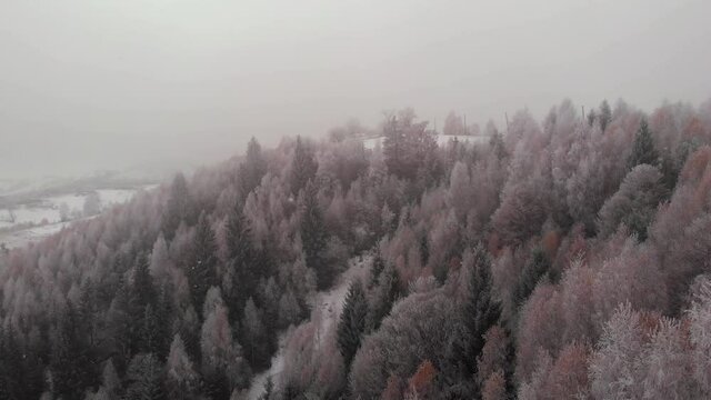 Aerial view of wintertime scene in the Transylvanian village, Pestera, with white frost, fresh snow, blizzard, and fog, at the foot of the Carpathian Mountains