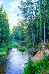 sandstone cliffs on the river Amata in Latvia