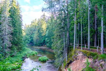sandstone cliffs on the river Amata in Latvia