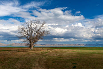 Fototapeta na wymiar Scenic view of the Bear Lake, located in the border of the Utah and Idaho States, USA.