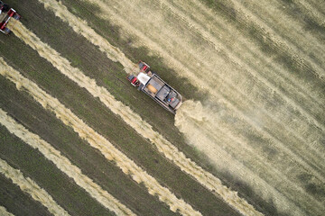 Harvesting of wheat. Two small combines pick up the mown rolls and thresh them. Shooting from the air.