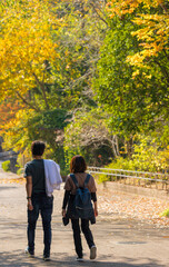 秋の公園で散歩している若いカップルの姿