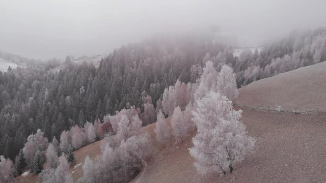 Aerial view of wintertime scene in the Transylvanian village, Pestera, with white frost, fresh snow, blizzard, and fog, at the foot of the Carpathian Mountains