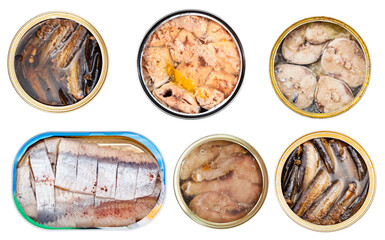 collection of canned fishes isolated on white background
