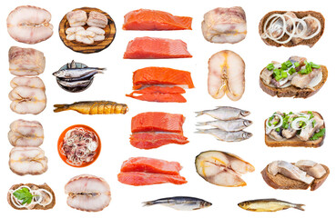 collection of various salted fishes isolated on white background