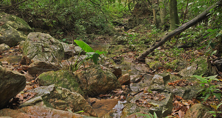 Pequena cachoeira com muitas pedras e arvores em volta. Situada em fazenda na região de Esmeraldas.