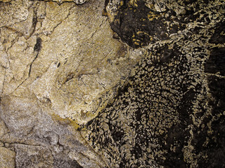Golden luminescent microbes in the Lava Beds National Monument caves of the northern Sierra Nevadas, California