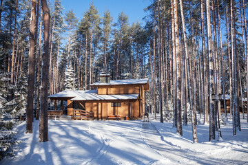 Wooden cottage in a resort village in a winter, sunlit forest among pine trees and fir trees.