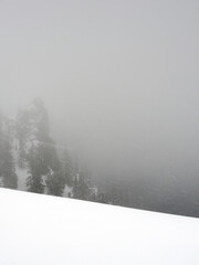 Foggy snowy afternoon at Crater Lake, Cascade Mountains, Oregon