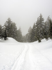 Foggy snowy afternoon at Crater Lake, Cascade Mountains, Oregon
