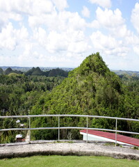Fototapeta premium Beautiful view of the green forest from the hill