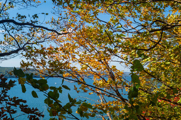 A sailboat navigate the waters of Cayuga Lake