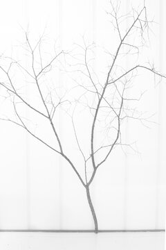 Ramo di albero stilizzato di design