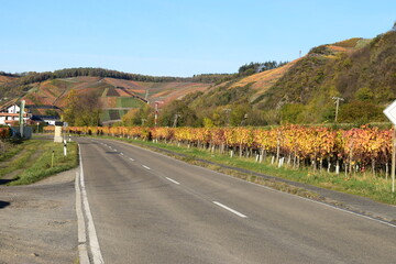 Ahrtalstraße durch flammende Weinberge im November