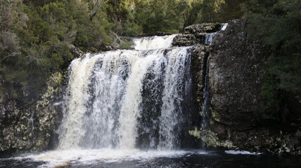 Fototapeta na wymiar waterfall in the forest of tasmania