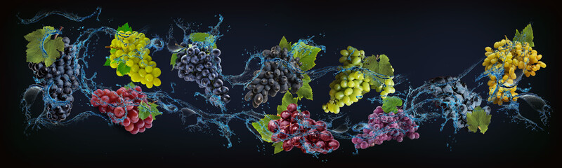 Panorama with fruits in water - juicy grapes are full of vitamins and minerals