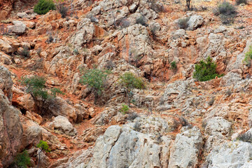 Photo of beautiful fiery red mountains and rocks