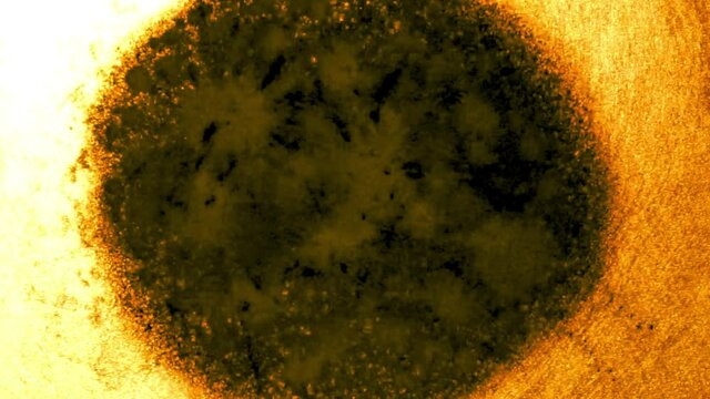 Globules of lycopodium spores, resembling subatomic particles exhibit fission and fusion characteristics.