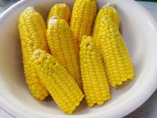 corn on the cob