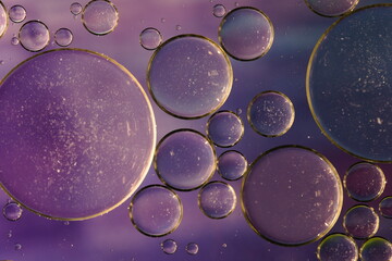 abstract, purple background, oil photography