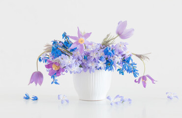 blue and violet spring flowers on white background