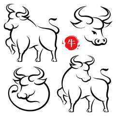 CNY hand drawn cows set, chinese calligraphy style, metal ox text translation. Vector Chinese New Year banner poster greeting card template with hand drawn bull animal. Lunar calendar horoscope animal
