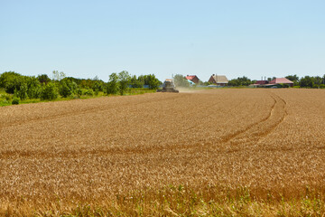 Fototapeta na wymiar Combine harvester in action on wheat field. Process of gathering a ripe crop.
