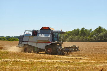 Combine harvester in action on wheat field. Process of gathering a ripe crop.