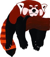 red panda red panda vector illustration red panda chilling out cute animal funny animal cartoon character red tail striped isolated animal nature  © Lena