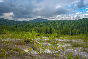 Fototapeta premium Abandoned talc quarry overgrown with trees and grass