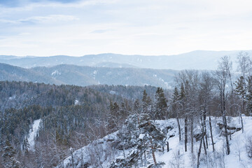 Gentle hills are covered with snow forest. View of mountain valley on winter day