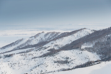 Gentle slopes of forest hills are covered with first snow. View of mountain valleys and ridge on horizon.