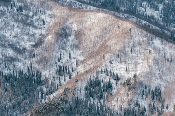 Fototapeta premium Gentle hills covered with forest and snow, winter mountain valley