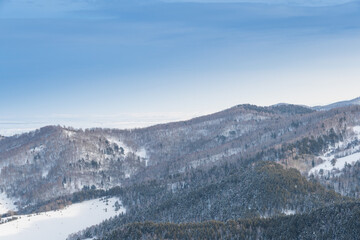 Gentle slopes of forest hills are covered with first snow. View of mountain valleys and ridge on horizon.