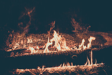 Wood is burning in fire. Fire for bushcraft and tourism at night gives warmth and light.